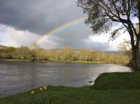 Natural River Beauty