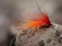 Beautiful Salmon Flies