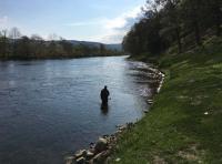 Learning Salmon Fishing Skills