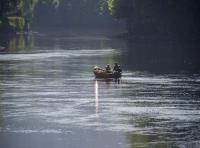 Salmon Fishing Magic