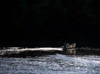 River Tay Briliance