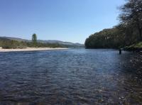 Summer River Tay Fishing