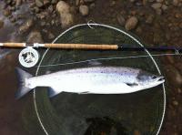 Fishing Events In Scotland