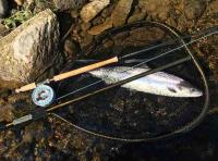 No Salmon Fishing Experience Required