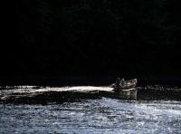 Salmon Fishing Satisfaction