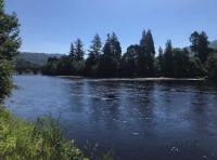River Tay Salmon Pools