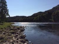 River Tay Magnificence