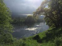 Salmon Fishing Conditions
