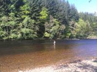 Fishing For River Tay Salmon