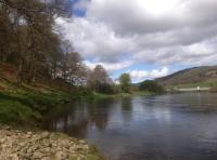 River Tay Fishing Venues
