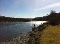 Beautiful Riverbank Settings