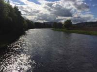 Famous River Tay Salmon Beats