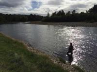 Salmon Fishing Hospitality