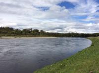 The Perfect Scottish Salmon Pool