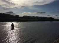 Corporate Salmon Fishing Days