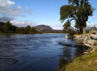 The Lure Of The Salmon River