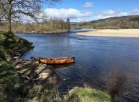 Spring Salmon Fishing Events