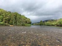 The Perfect Salmon River Setting