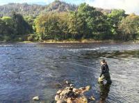 Learning To Fish For Salmon