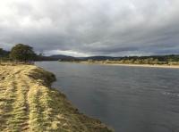 Salmon Fishing Events In Scotland