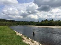 Great Salmon Fishing River Days