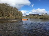 Spring Beauty On The River Tay