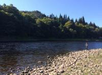 Book Some Salmon River Therapy
