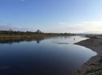 Salmon River Tranquility